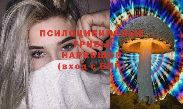 мдпв Балашиха