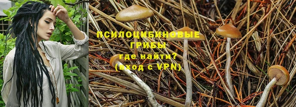 амф Михайлов
